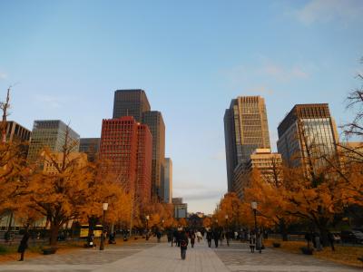 東京２０１８紅葉