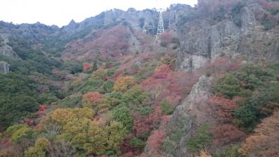 初見参なり