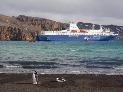 １０日間南極クルーズ＋アルゼンチン旅行＊その３＊サウスシェットランド諸島