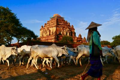 笑顔に癒されたミャンマーの旅・バガン