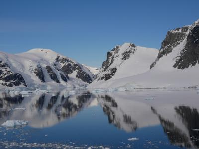 １０日間南極クルーズ＋アルゼンチン旅行＊その４＊Danko Island、Neko Harbour
