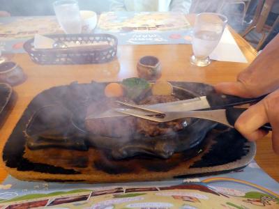 げんこつハンバーグの炭焼きレストラン さわやか 長泉店の昼食 