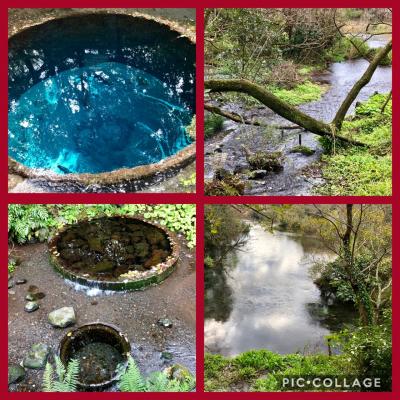 近場で旅気分☆柿田川湧水公園