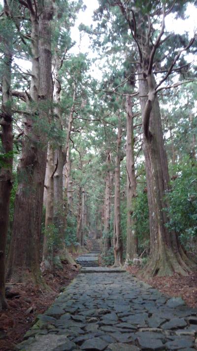 近隣シリーズ⑦ ２つの有名ホテルに宿泊したプチ贅沢・南紀旅行（那智勝浦編）