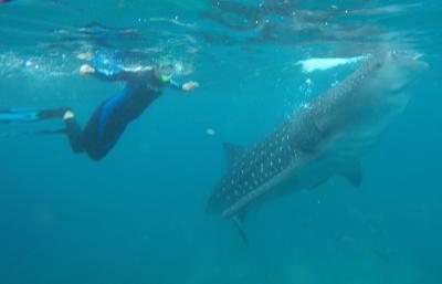 47:フィリピン(セブ島)_2