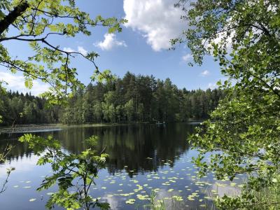 フィンランド＆日帰りタリン　やりたいことを叶える旅  ヌークシオ国立公園&amp;フィンランドサウナ編