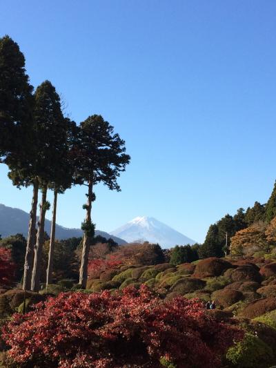 2018年箱根行こう！紅葉満喫、日帰り満足旅