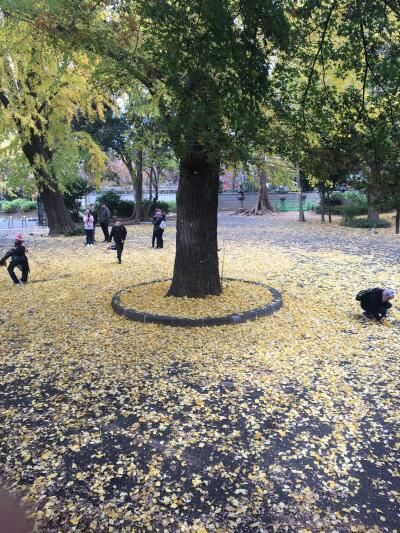 外国人を連れて週末の東京観光。その２：上野公園～秋葉原編