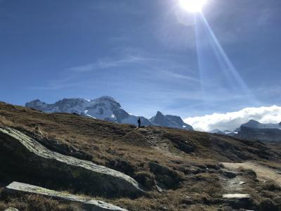 スイス旅行記　～3日目ツェルマット ゴルナーグラートでハイキング～