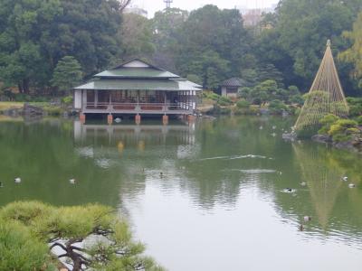 清澄庭園は三菱財閥・岩崎家が築いた回遊式庭園で，各地からの奇石・名石が特徴的．近くの深川江戸資料館にも行った．