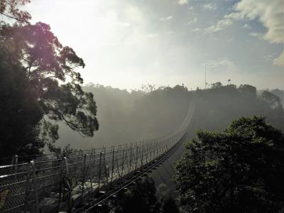 2018冬台湾　03　八卦台地探訪②　濃霧の猴探井、肝心の吊橋は怖いから渡りません