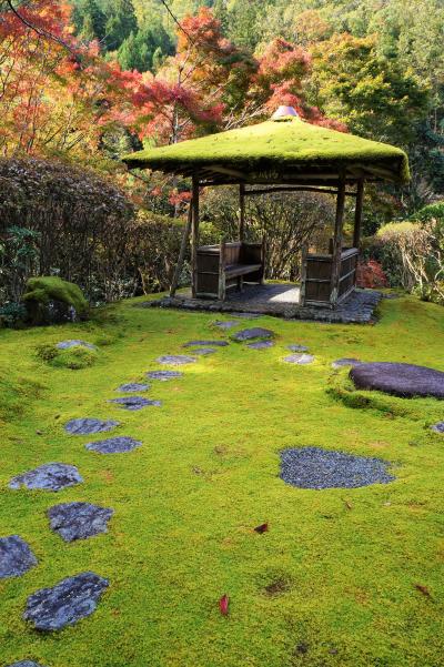 2.祇園の町並みと鞍馬の白龍園（秋の京都２０１８）