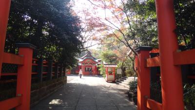 初冬　快晴の知覧武家屋敷歩き