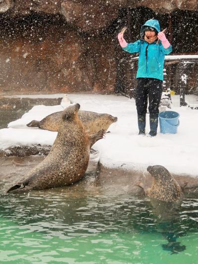 旭川-3　旭山動物園　ゴマフアザラシ　もぐもぐタイム/給餌　☆垂直筒を上下降//行動展示