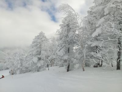 志賀高原スキー 2018