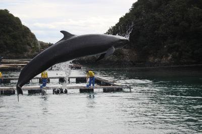 南紀へ遠乗りドライブ②　くじらの町・太地　本州最南端の町・串本へ