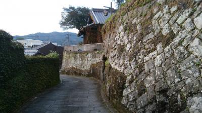 「石垣と石畳の城下町」　九州周遊(2)　臼杵2
