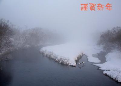 201９年１月野鳥撮影記録　Ⅰ