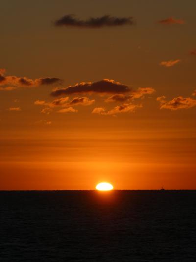 初詣 豊川稲荷と伊勢神宮 初日の出にうるうる