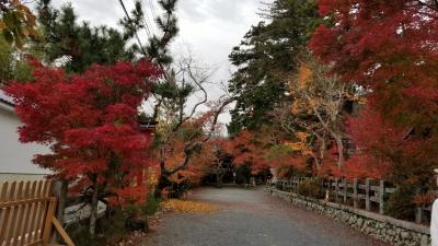 ちょこっと日帰り旅　in亀岡