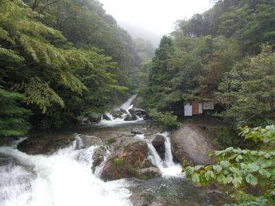 鹿児島と屋久島白谷雲水峡観光（その３）