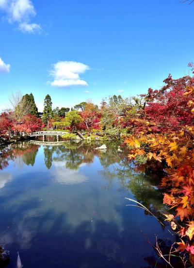 清水寺から永観堂～南禅寺の紅葉だが。。(+o+)　凄い人だ。。。(◎_◎;)