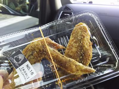 【1県1食 ちんたら帰郷旅1】年末年始はご当地ソウルフード旅は難しい