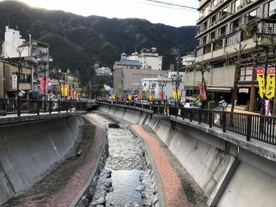 夫婦で年の瀬、下呂温泉へ