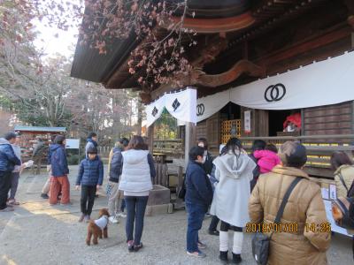 今年の初詣に多聞院を訪問しました(作成中)