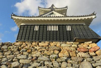 2018暮、東海三県の名城(10/12)：浜松城(1)：八幡台、天守台、復興天守、城内展示品