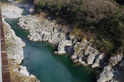 徳島で初キャンプしてきました。