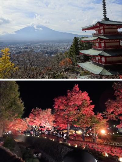 ウエディングベールを被った富士山がバスからチラッと！河口湖もみじ回廊ライトアップと新倉山浅間公園も行ったし、大満足～～