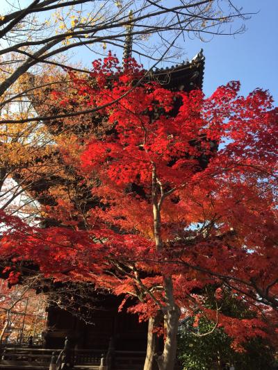 ひとり旅 紅葉見に行く