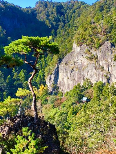 さわやかウォーキング 新城 長篠＆紅葉の鳳来寺山