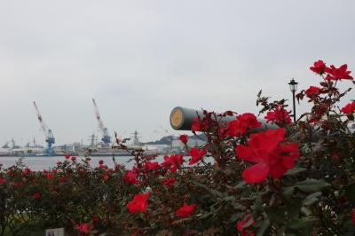 空自の次は海軍へ　　横須賀ドライブ