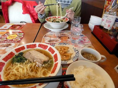 三島文教町の銀杏並木　バーミヤン裾野店の昼食　三島市佐野体験農園 赤大根・白菜・キャベツの収穫　