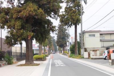 ｋオジサンの中山道旅日記　　その23　 　 松井田宿から高崎宿  へ　その後は美術鑑賞