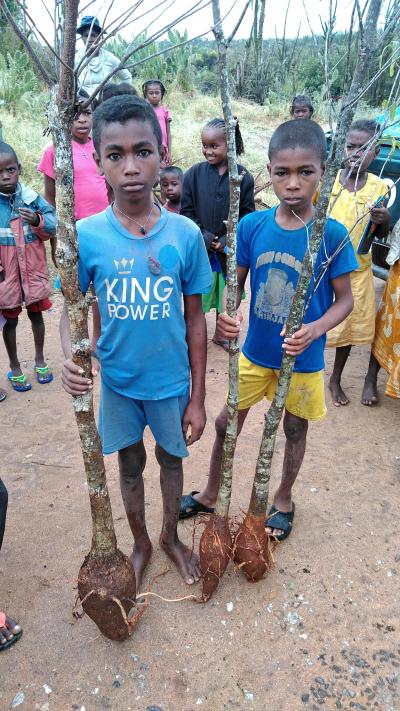 マダガスカル陸路1132kmシニア5人の旅