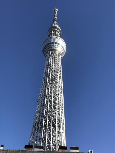 スカイツリーに登ってみた