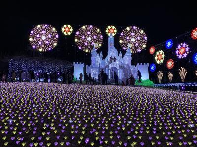 201901-02_足利フラワーパーク　Ashikaga Flower Park (Tochigi)