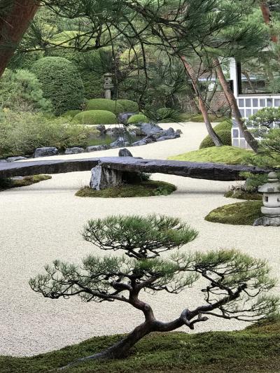 足立美術館と花回廊のイルミネーション