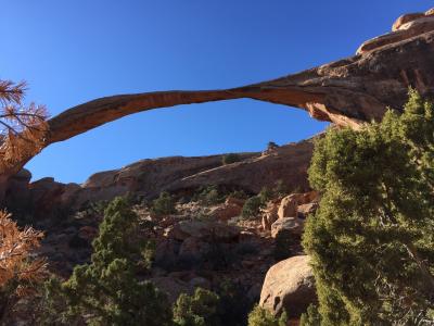 化石の森国立公園周辺に関する旅行記 ブログ フォートラベル アメリカ Petrified Forest National Park 化石の森国立公園周辺に関する旅行記 ブログ フォートラベル アメリカ Petrified Forest National Park