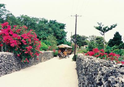 夏休みビーチ旅③ 2003　石垣島＆竹富島