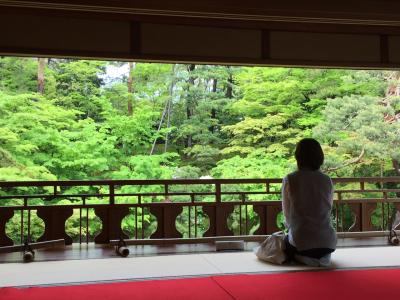 とても落ち着く庭園が魅力