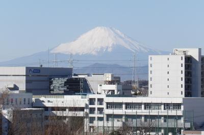JR東戸塚駅東側の尾根道から見える富士山