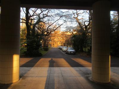 仙台まち巡り、東北大学へ