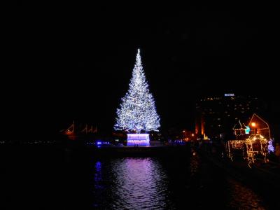 早めのクリスマス in 北海道 〈2〉函館編