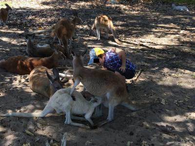 久しぶりの脱アジア！パースで過ごす家族４泊の旅。その２：カンガルーとのふれあい編