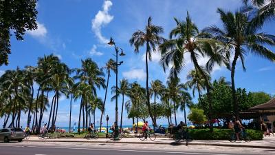 フラセミナー＆キングカメハメハフラコンペティション