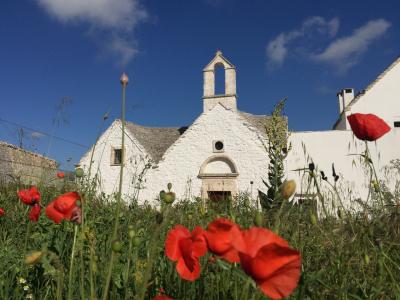 5月はイタリア(^-^)！【後半】アルベロベッロ～アマルフィ～カプリ島 14日間の旅 :   ポジターノ、ナポリ、ポンペイ